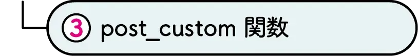 post_custom関数